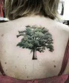 Татуировка дуб на спине у девушки