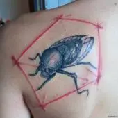 Тату муха на лопатке у мужчины