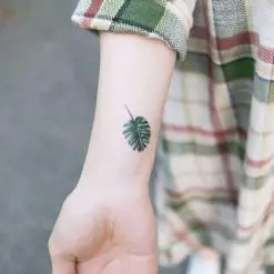 시온
