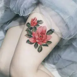 시온