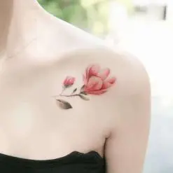 시온