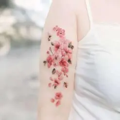 시온