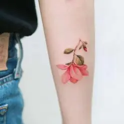 시온