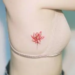 시온
