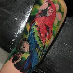 Aaron Olaguivel (Omom Tattoo)