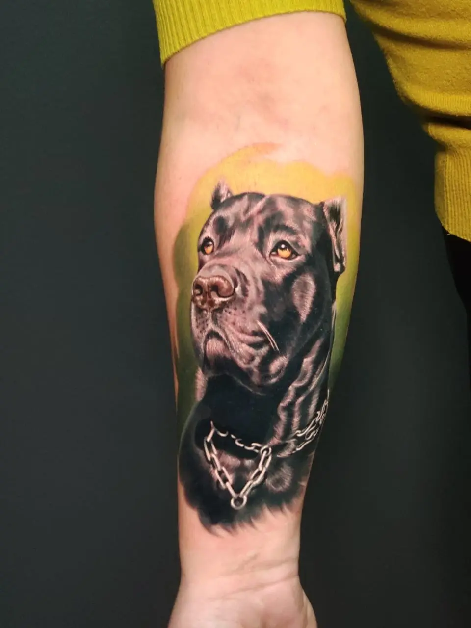 Алексей Globus