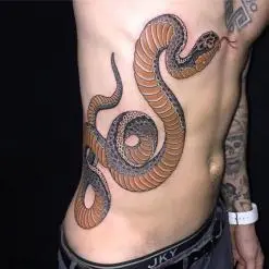 Ami James