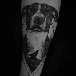 Felipe Kross