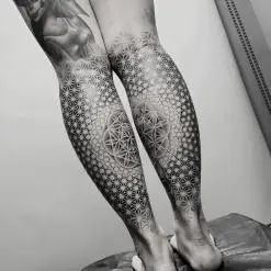 ILYA CASCAD