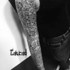 ILYA CASCAD