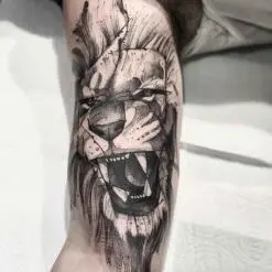 Lincoln Lima