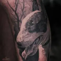 Олег каБэ