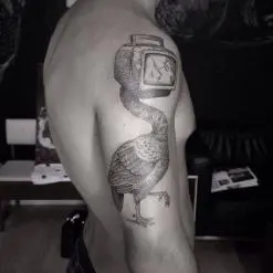 Otto D’Ambra