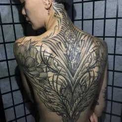Raphcemo