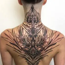 Raphcemo