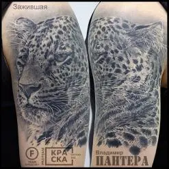 Владимир ПАНТЕРА Королев
