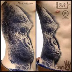 Владимир ПАНТЕРА Королев